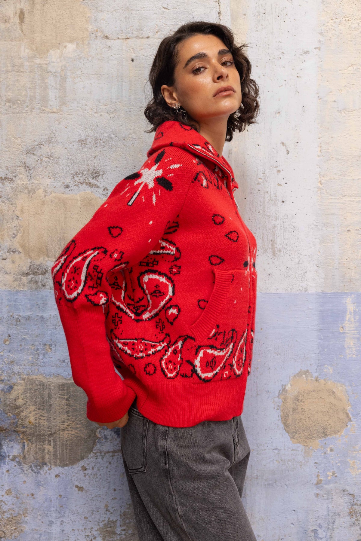 Red Paisley Knit