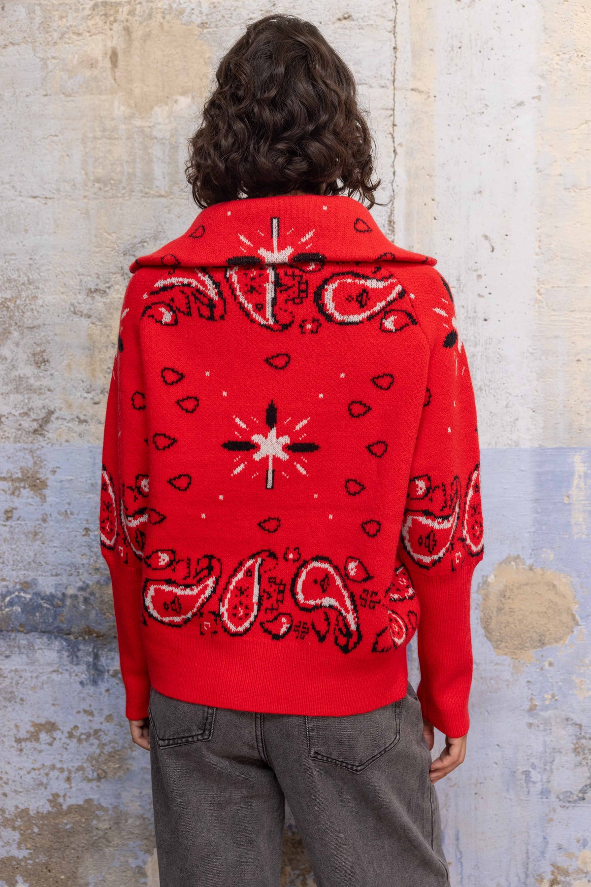 Red Paisley Knit